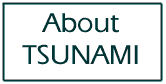 About TSUNAMI